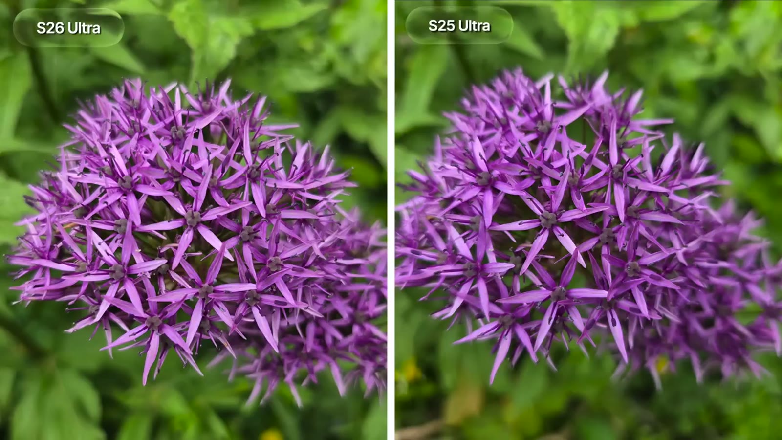 S26 Ultra vs S25 Ultra: the newer phone pushes the colours harder